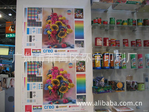 加工書籍市場(chǎng)全解析 價(jià)格、圖片、批發(fā)采購(gòu)與供應(yīng)商指南